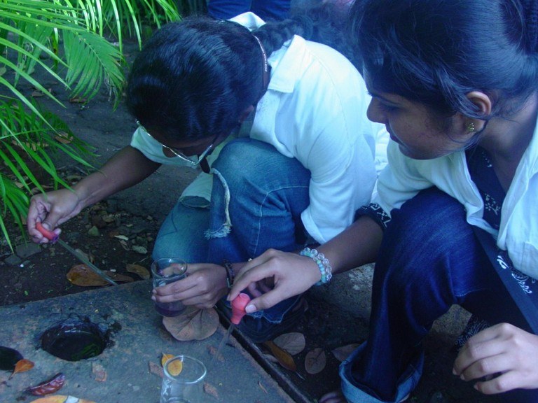 Field-Pagalapos .jpeg